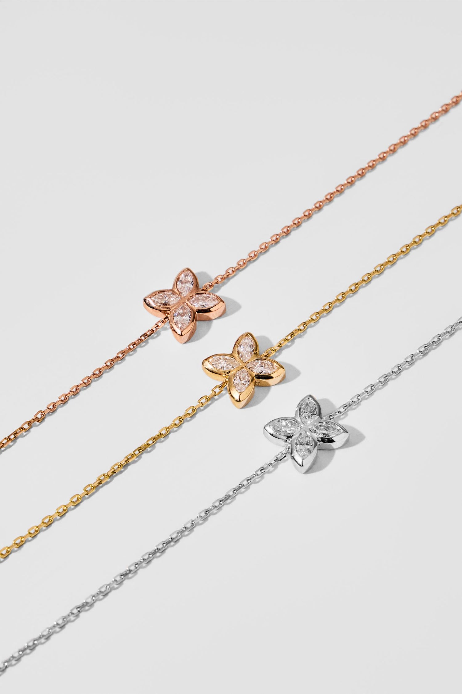 Dainty Bloom Collection